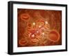 Conceptual Image of Ebola Virus in Artery-null-Framed Art Print