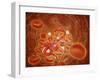 Conceptual Image of Ebola Virus in Artery-null-Framed Art Print