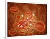 Conceptual Image of Ebola Virus in Artery-null-Framed Art Print