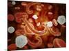 Conceptual Image of Ebola Virus in Blood Stream-null-Mounted Art Print