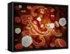 Conceptual Image of Ebola Virus in Blood Stream-null-Framed Stretched Canvas
