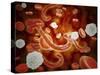 Conceptual Image of Ebola Virus in Blood Stream-null-Stretched Canvas