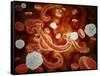 Conceptual Image of Ebola Virus in Blood Stream-null-Framed Stretched Canvas