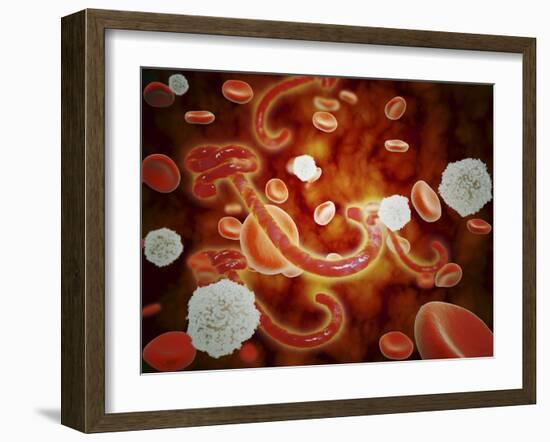 Conceptual Image of Ebola Virus in Blood Stream-null-Framed Art Print