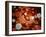 Conceptual Image of Ebola Virus in Blood Stream-null-Framed Art Print