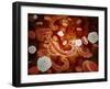 Conceptual Image of Ebola Virus in Blood Stream-null-Framed Art Print