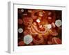 Conceptual Image of Ebola Virus in Blood Stream-null-Framed Art Print