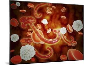 Conceptual Image of Ebola Virus in Blood Stream-null-Mounted Art Print