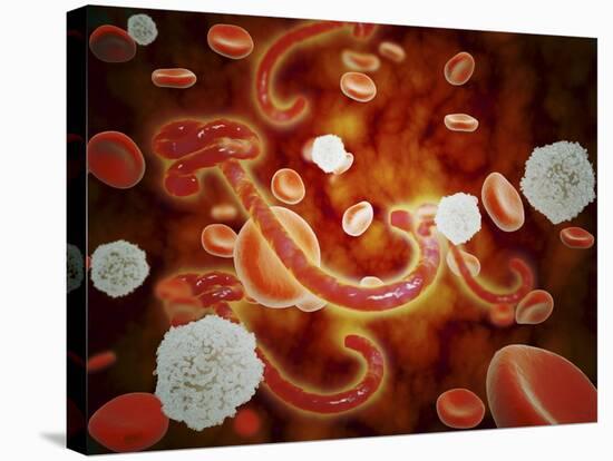 Conceptual Image of Ebola Virus in Blood Stream-null-Stretched Canvas