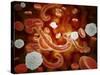 Conceptual Image of Ebola Virus in Blood Stream-null-Stretched Canvas