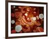 Conceptual Image of Ebola Virus in Blood Stream-null-Framed Art Print