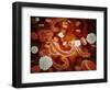 Conceptual Image of Ebola Virus in Blood Stream-null-Framed Art Print