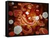 Conceptual Image of Ebola Virus in Blood Stream-null-Framed Stretched Canvas