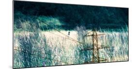 Conceptual Image of Electricity Pylon-Clive Nolan-Mounted Photographic Print