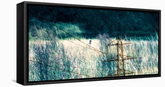 Conceptual Image of Electricity Pylon-Clive Nolan-Framed Stretched Canvas