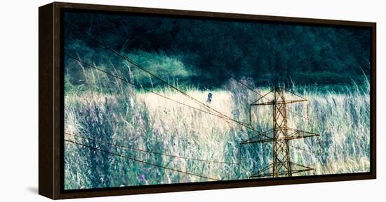 Conceptual Image of Electricity Pylon-Clive Nolan-Framed Stretched Canvas