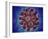 Conceptual Image of Encephalitis-null-Framed Art Print