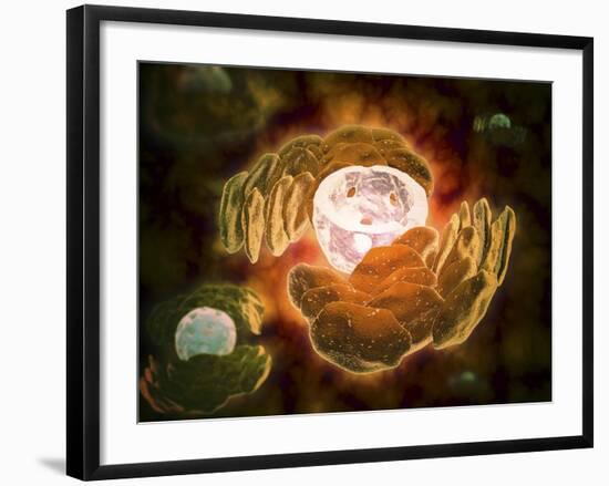 Conceptual Image of Endoplasmic Reticulum around a Cell Nucleus-null-Framed Art Print