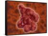 Conceptual Image of Enterokinase-null-Framed Stretched Canvas