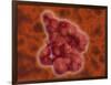 Conceptual Image of Enterokinase-null-Framed Art Print