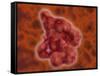 Conceptual Image of Enterokinase-null-Framed Stretched Canvas