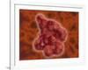 Conceptual Image of Enterokinase-null-Framed Art Print