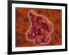 Conceptual Image of Enterokinase-null-Framed Art Print