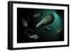 Conceptual Image of Euglena-null-Framed Premium Giclee Print