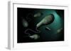 Conceptual Image of Euglena-null-Framed Premium Giclee Print