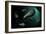 Conceptual Image of Euglena-null-Framed Art Print