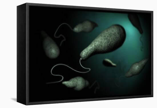 Conceptual Image of Euglena-null-Framed Stretched Canvas