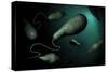 Conceptual Image of Euglena-null-Stretched Canvas