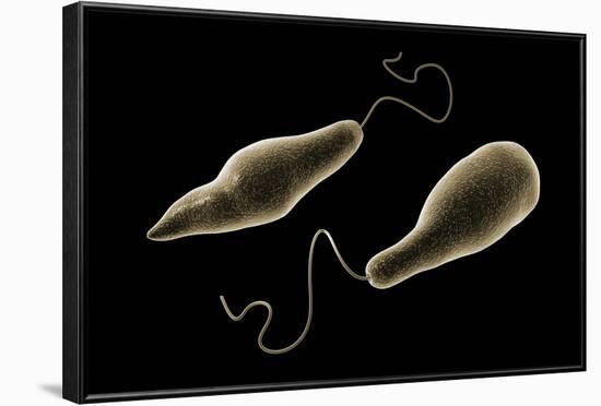 Conceptual Image of Euglena-null-Framed Art Print