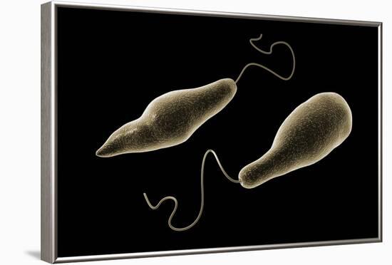 Conceptual Image of Euglena-null-Framed Art Print