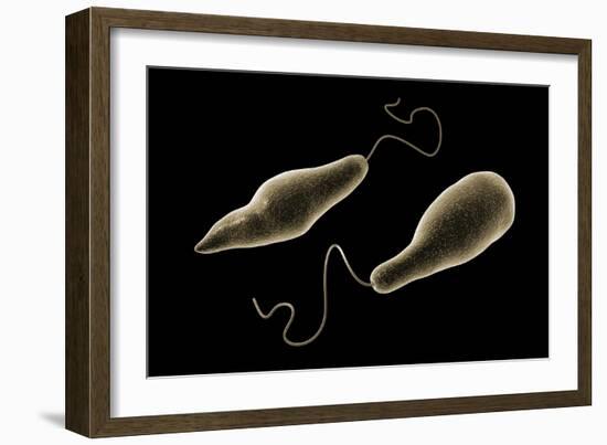 Conceptual Image of Euglena-null-Framed Art Print