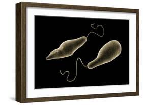 Conceptual Image of Euglena-null-Framed Art Print