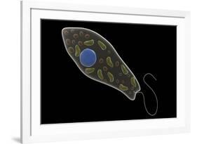 Conceptual Image of Euglena-null-Framed Art Print