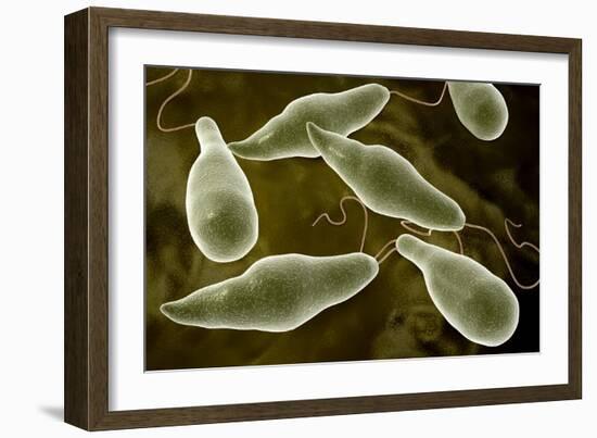 Conceptual Image of Euglena-null-Framed Art Print