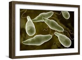 Conceptual Image of Euglena-null-Framed Art Print