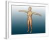 Conceptual Image of Female Body with Arms Extended-null-Framed Art Print