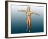 Conceptual Image of Female Body with Arms Extended-null-Framed Art Print