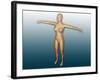 Conceptual Image of Female Body with Arms Extended-null-Framed Art Print