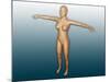 Conceptual Image of Female Body with Arms Extended-null-Mounted Art Print