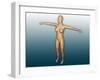 Conceptual Image of Female Body with Arms Extended-null-Framed Art Print