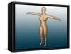 Conceptual Image of Female Body with Arms Extended-null-Framed Stretched Canvas