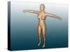 Conceptual Image of Female Body with Arms Extended-null-Stretched Canvas