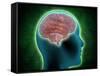 Conceptual Image of Female Body with Brain, Side View-null-Framed Stretched Canvas