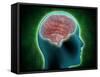 Conceptual Image of Female Body with Brain, Side View-null-Framed Stretched Canvas