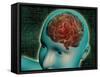 Conceptual Image of Female Body with Brain, Side View-null-Framed Stretched Canvas