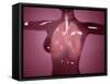 Conceptual Image of Female Body with Lungs, Glassy Look-null-Framed Stretched Canvas